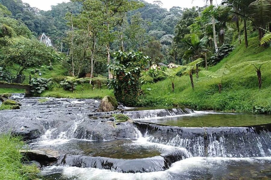 Santa Rosa de Cabal Thermal Hot Springs - Who will enjoy this experience most?