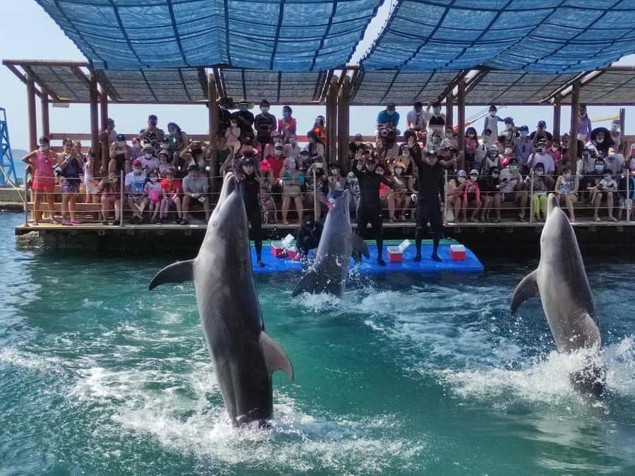 SANTAMARTA: TOUR Combo boat taxi, aquarium, lunch, and white sand beach - What the $75 price really buys you