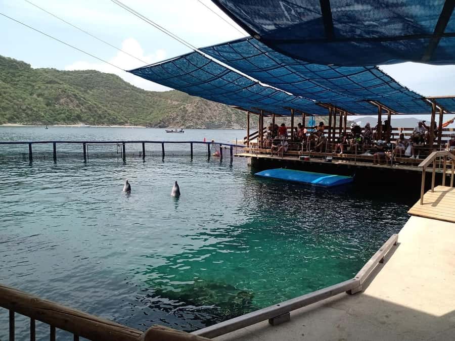 SANTAMARTA: TOUR Combo boat taxi, aquarium, lunch, and white sand beach - Rodadero Sea Aquarium and Museum in one hour