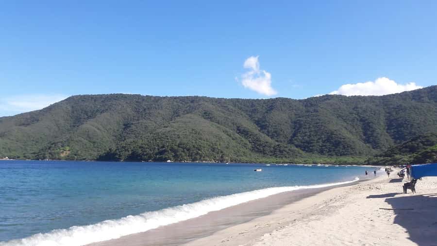 SANTAMARTA: TOUR Combo boat taxi, aquarium, lunch, and white sand beach - Who will enjoy this combo most