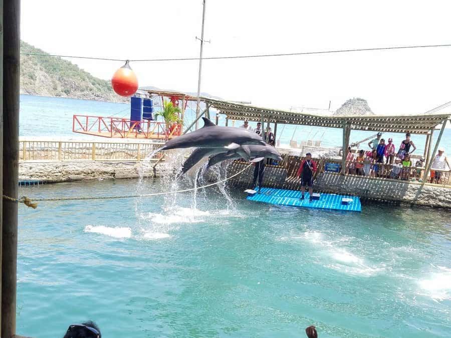 SANTAMARTA: TOUR Combo boat taxi, aquarium, lunch, and white sand beach - Starting at Puente Turístico El Rodadero