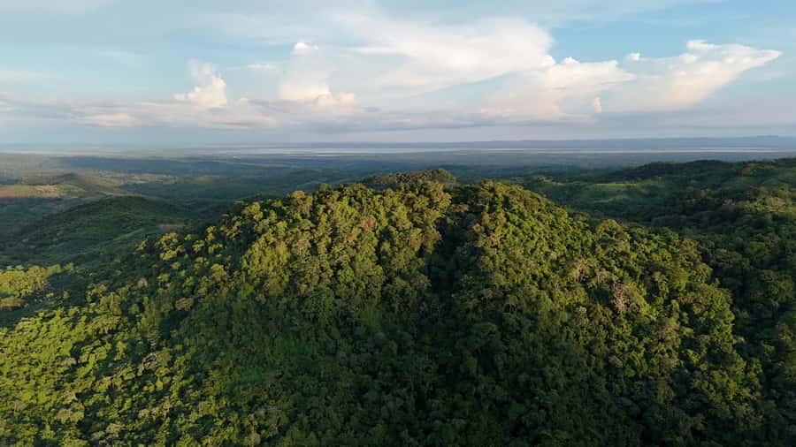 Scenic Horseback Ride in Tropical Mountain Reserve - The macaw and parrot center explains the work