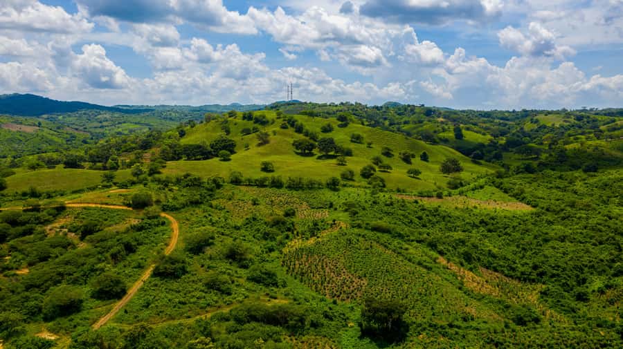 Scenic Horseback Ride in Tropical Mountain Reserve - Horseback riding through the 1,000-acre forest