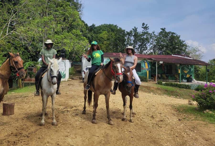 Scenic Horseback Ride in Tropical Mountain Reserve - UTV views add variety to the ride