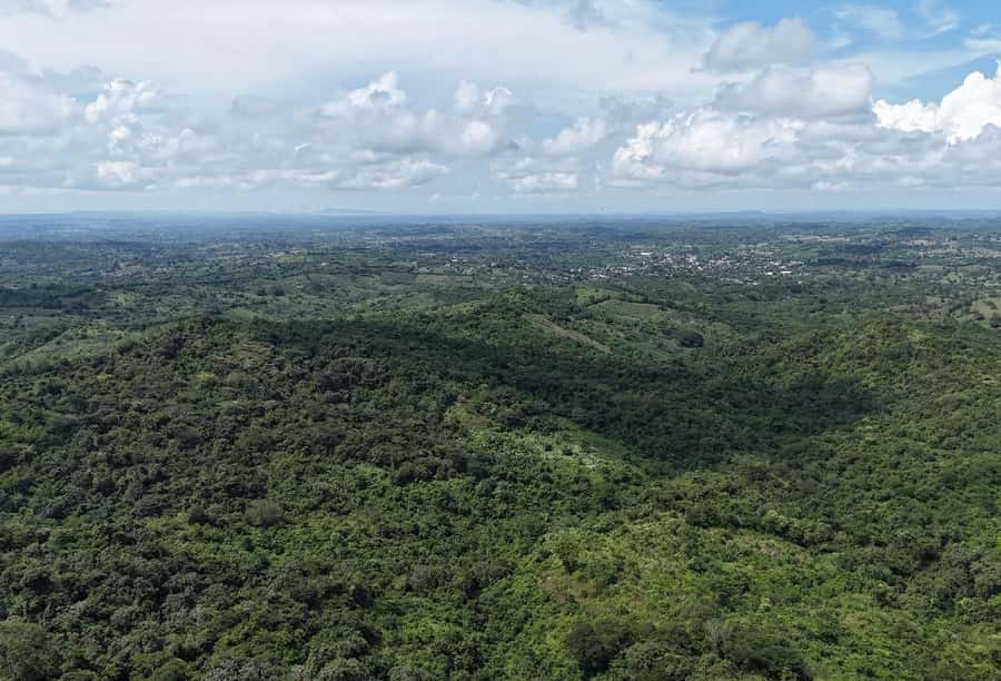 Scenic Horseback Ride in Tropical Mountain Reserve - Planting a tree gives the day a useful ending