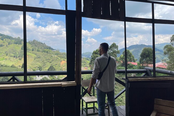 Scenic Horseback Riding in the Medellín Mountains - Choosing a horse and learning the basics