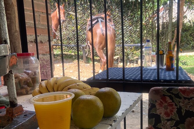 Scenic Horseback Riding in the Medellín Mountains - Stops for photos, cake, and a cold drink