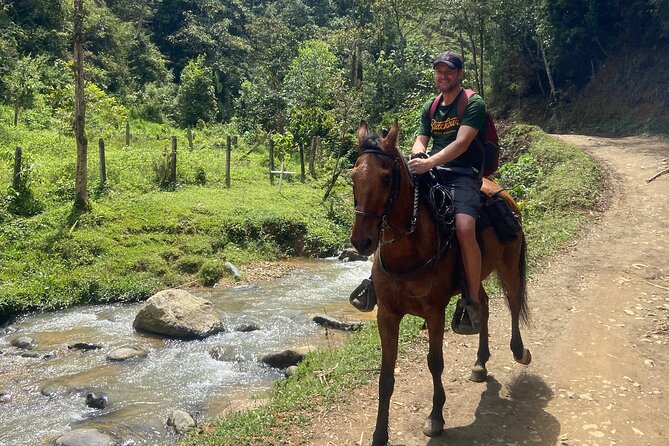Scenic Horseback Riding in the Medellín Mountains - Is the $66.60 price fair?