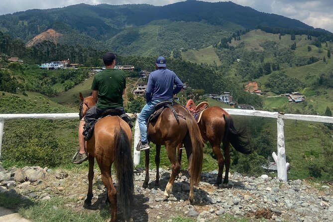 Scenic Horseback Riding in the Medellín Mountains - Who should book this ride?