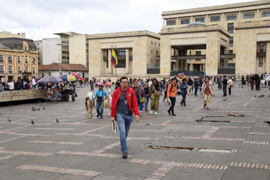 Shared Tour Colombian Conflict War, Drug Trafficking & Peace - Drug trafficking and the power behind the violence