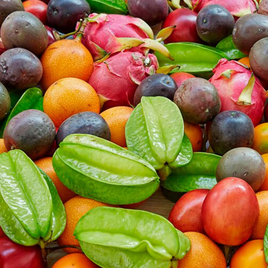 Shared Tour of Colombian Exotic Fruit at Paloquemao Market - Who will enjoy this market experience?