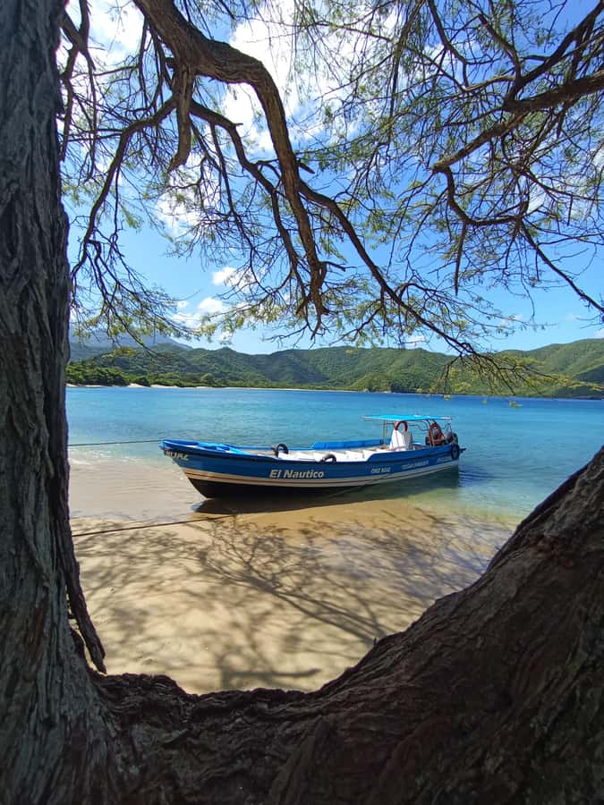 SPEEDBOAT TOUR TO TAYRONA CRISTAL BEACH - Key points to know before booking