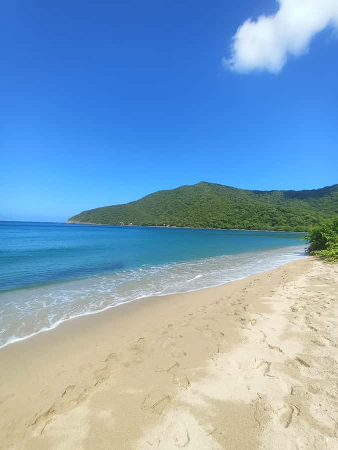 SPEEDBOAT TOUR TO TAYRONA CRISTAL BEACH - Arriving at Playa Cristal in Tayrona