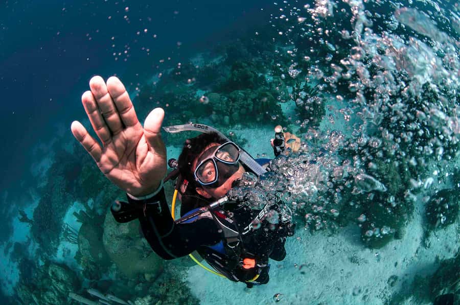 Tayrona National Park: Scuba Diving Tour for Beginners - Who will enjoy this beginner course most