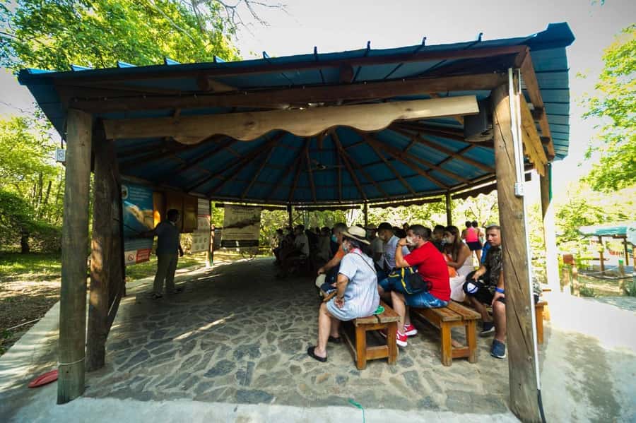 Tayrona Park adventure in Santa Marta: Cabo San Juan from Cartagena - Key points to know before booking
