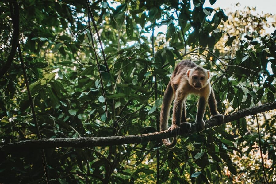 Tayrona Park & Cabo San Juan - What to pack for the day