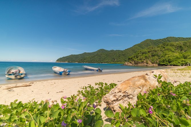 Tayrona Park Hike Tour to Cabo San Juan: Private or Shared - From Arrecifes to the calmer beaches