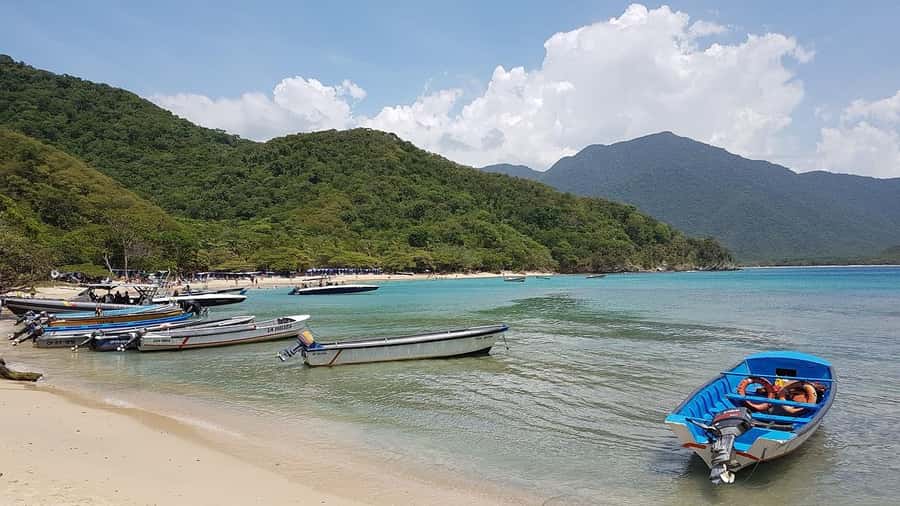 Tayrona Park & Playa Cristal - Key points to know before booking