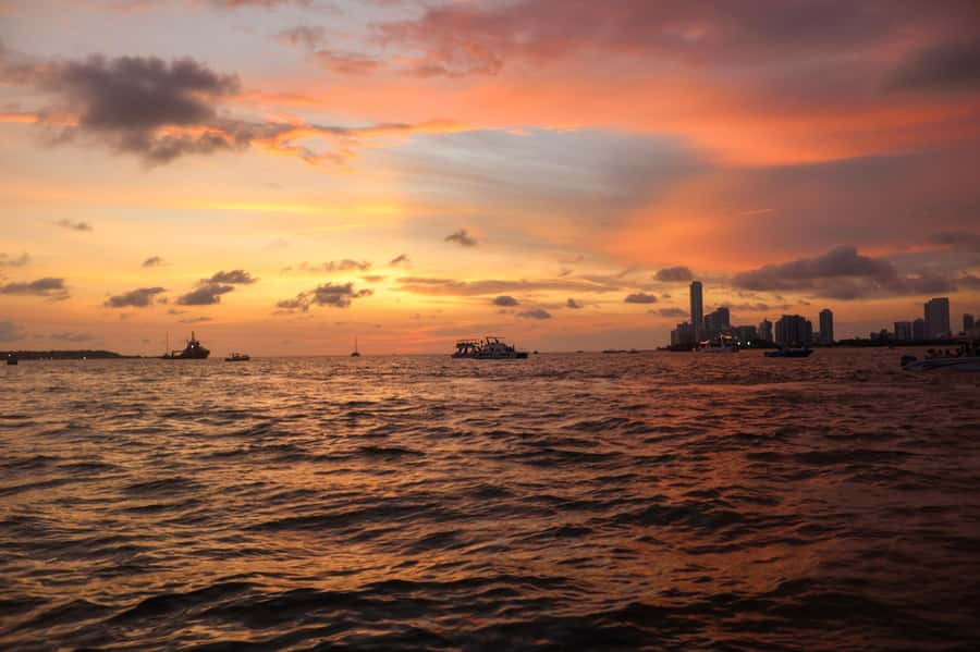 The best sunset tour in the bay: Open bar party & fun - Key points at a glance