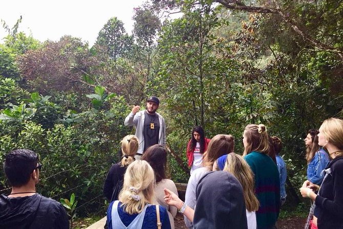The "not polite to use his name" City Tour - Jardines Montesacro and the final perspective