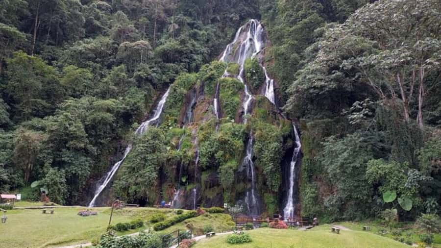 Tour Santa Rosa hot springs from Pereira, Armenia or Salento - Key points to know before booking