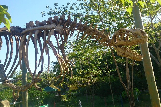 Tour to the Hacienda Nápoles Theme Park - Biolandia and the educational side