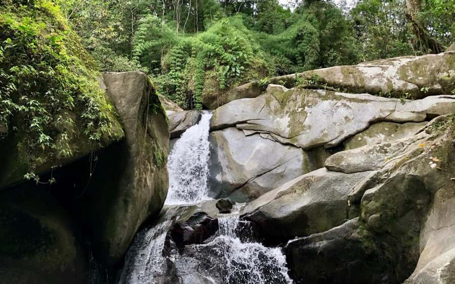 Trekking History and Indigenous Heritage in Minca + Cacao & Coffee + Waterfall - Meeting an Arhuaco family at Cabanas Bosque Cacao