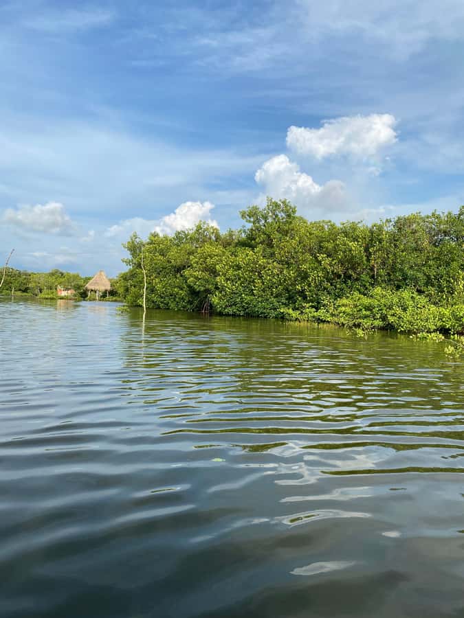 Typical lunch on beach, mangrove tour & fishing with natives - Lunch at 12:30 beside the sea