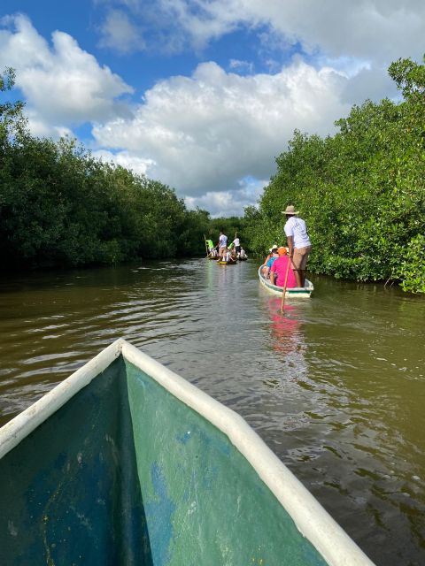 Typical lunch on beach, mangrove tour & fishing with natives - Quiet beach time after lunch