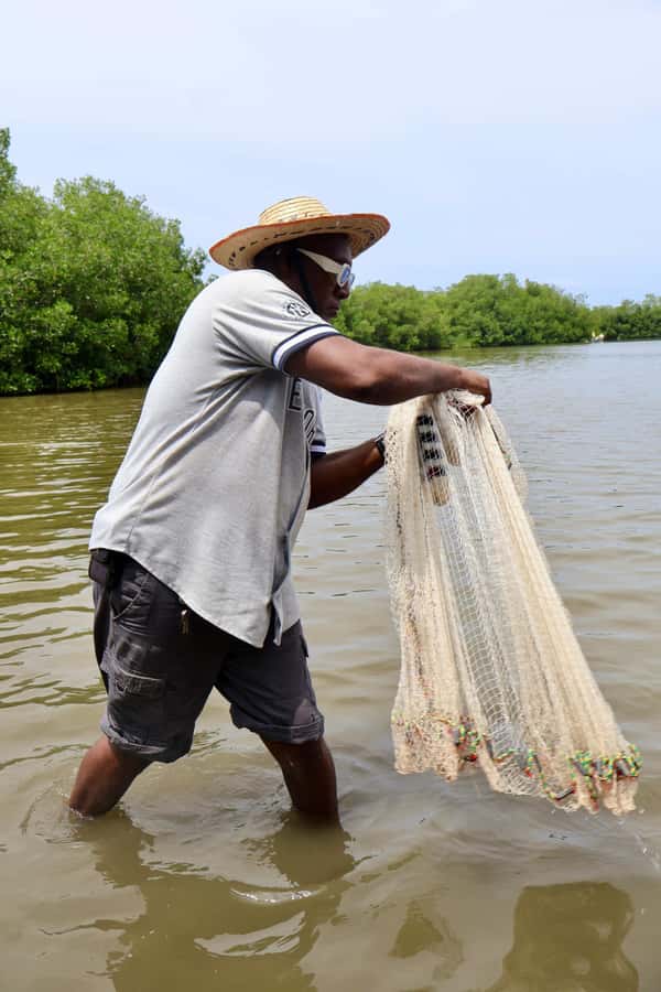 Typical lunch on beach, mangrove tour & fishing with natives - Is $84 a fair price?