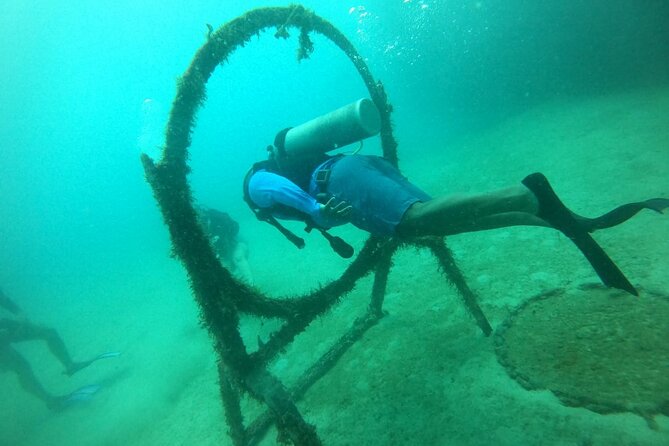 Under a sea of adventures, unforgettable diving. - Coral, Fish, and Time Underwater