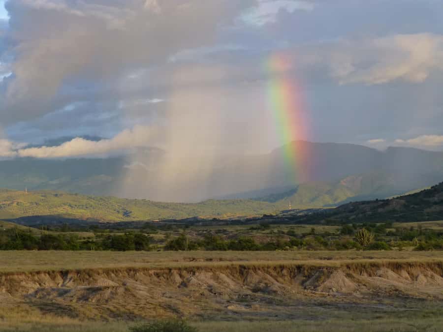 Villavieja: Tatacoa Desert Horseback Riding Tour - How this compares with seeing Tatacoa on foot