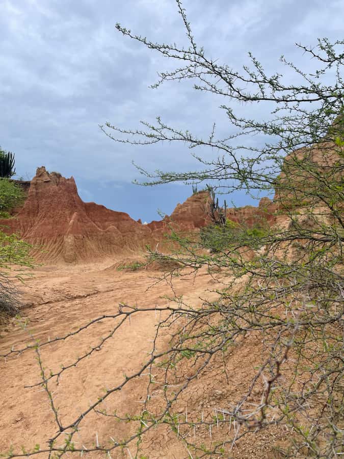 Villavieja: Tatacoa Desert Horseback Riding Tour - Should you book the Tatacoa horseback ride?
