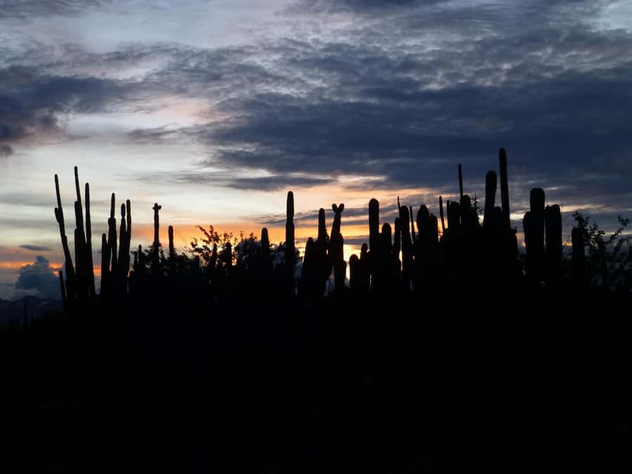 Villavieja: Tatacoa Desert Horseback Riding Tour - What the horseback ride is really like