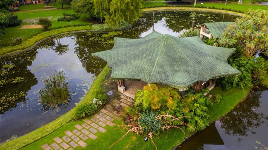 Walking tour José Celestino Mutis Botanical Garden 3 hrs - What the three-hour schedule really includes