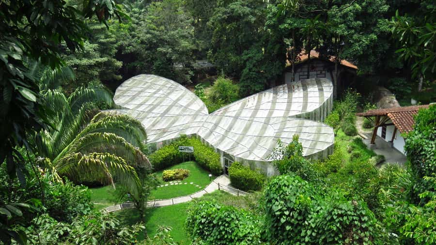 Walking tour José Celestino Mutis Botanical Garden 3 hrs - Learning about the Bogotá savannah